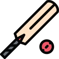 Cricket