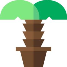 Palm tree