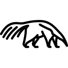 Anteater