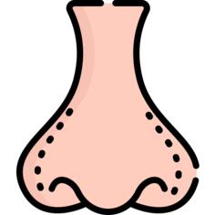 Nose