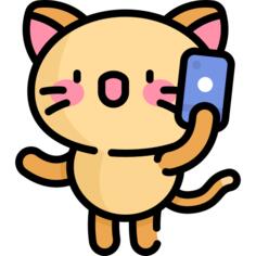 猫咪