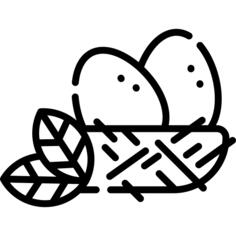 Egg
