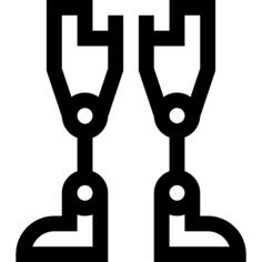 Prothesis