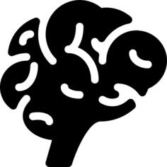 Brain