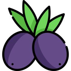橄榄