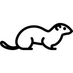 Ermine
