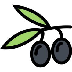 橄榄