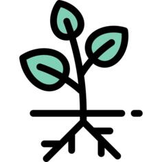 发芽