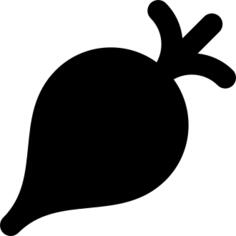 Radish