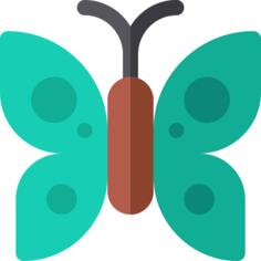 蝴蝶