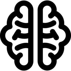 Brain