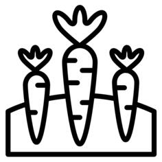 Carrots