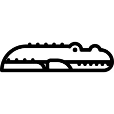 Crocodile