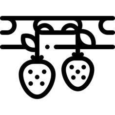 Hydroponic