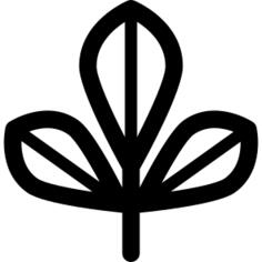 Bael树