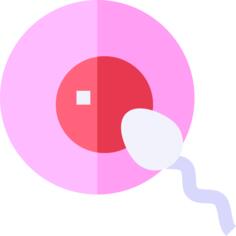 Fertilization