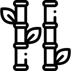 竹