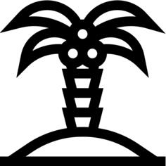 棕榈