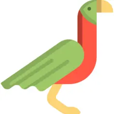 Parrot