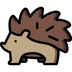 Hedgehog