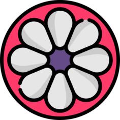 山竹
