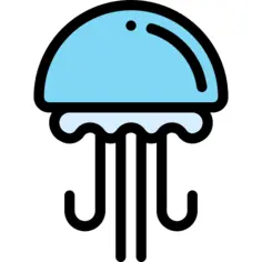 Jellyfish
