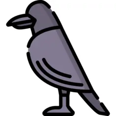 Crow