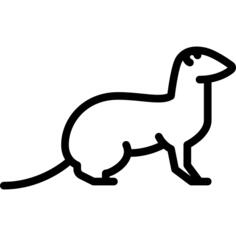 Polecat