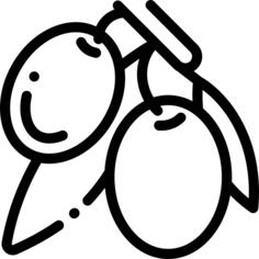 橄榄
