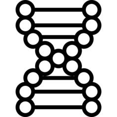 脱氧核糖核酸