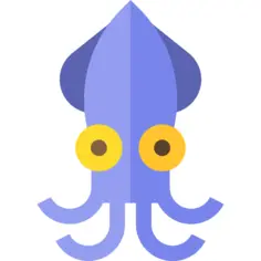 Squid
