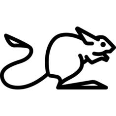 Jerboa