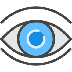 Eye