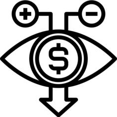 Vision