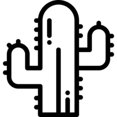 Cactus