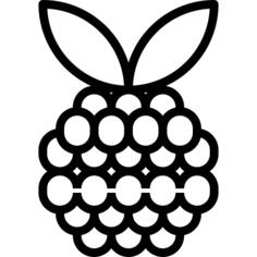 Raspberry