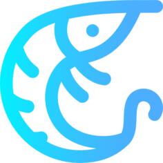 虾