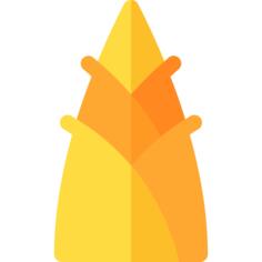 Bamboo