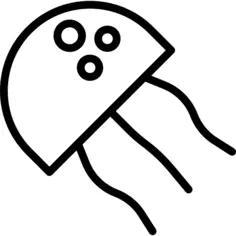 Jellyfish