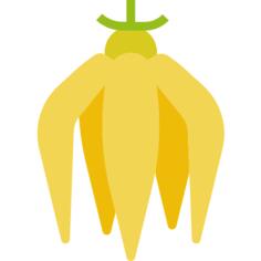 依兰
