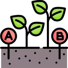 Growth