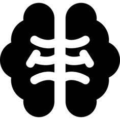 Brain