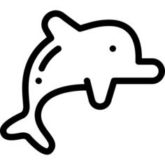 海豚