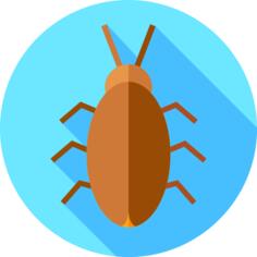 Cockroach