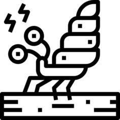 寄居蟹