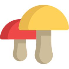 蘑菇