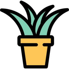芦荟