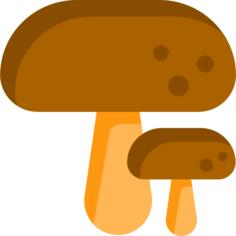 蘑菇