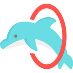 海豚