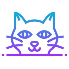 黑猫
